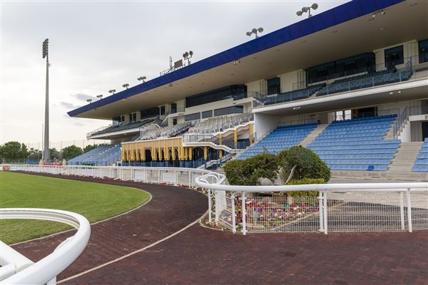 Abu Dhabi Equestrian Club (12/19/2019)