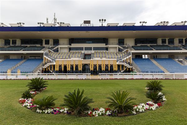 Abu Dhabi Equestrian Club (12/19/2019)