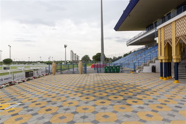 Abu Dhabi Equestrian Club (12/19/2019)