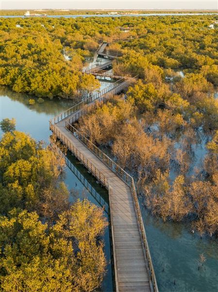 Jubail Mangrove Park (6/16/2021)