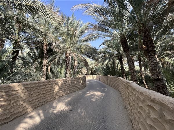 Al Qattara Oasis (9/22/2022)