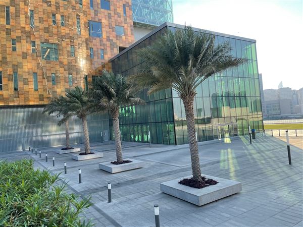 Cleveland Clinic (2/22/2020)