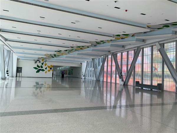 Hamouda Bin Ali Al Dhaheri Street - Pedestrian Bridge (4/18/2022)
