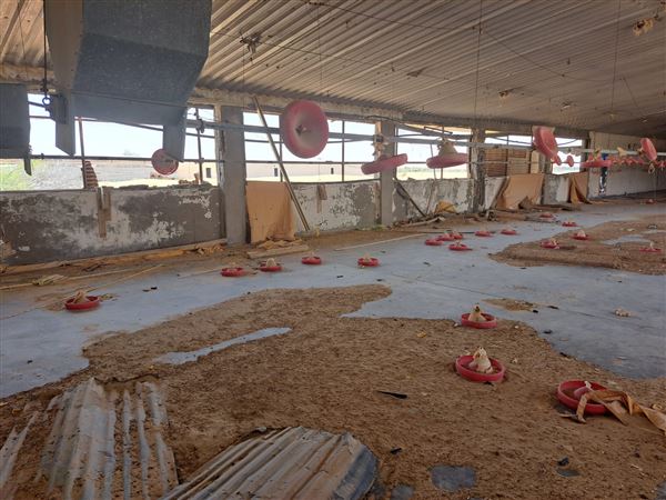 Abandoned Poultry Farm (4/1/2023 - Credits: Talal Al Dhabyani)