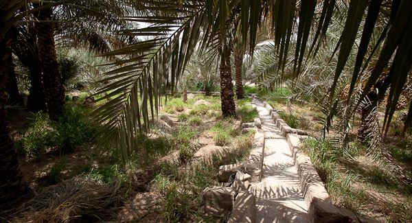 Al Ain Oasis (1/1/2022)