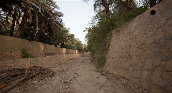 Al Ain Oasis (1/1/2022)