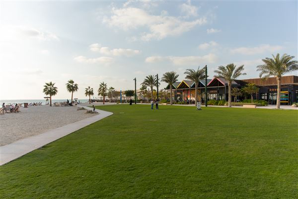 Al Hudayriat Island (1/1/2022)
