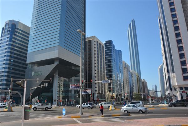 Sultan Bin Zayed the First Street (11/11/2016)