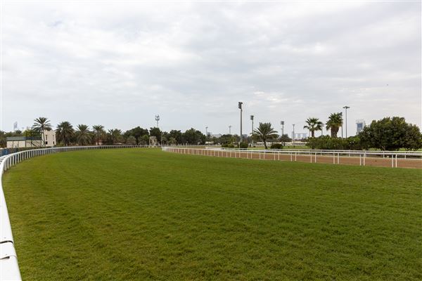 Abu Dhabi Equestrian Club (12/19/2019)