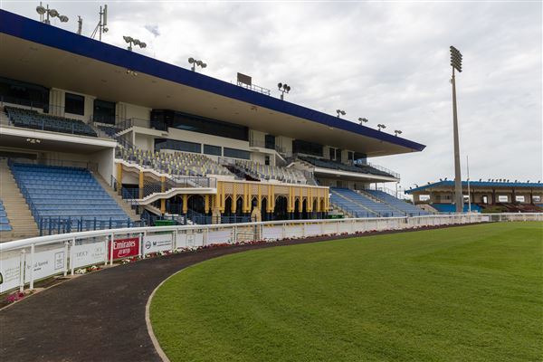 Abu Dhabi Equestrian Club (12/19/2019)