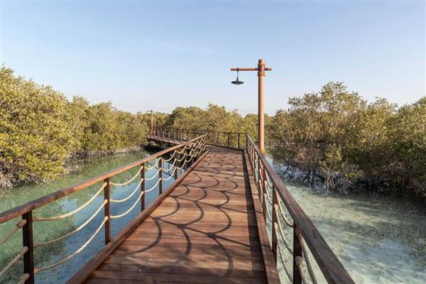 Jubail Mangrove Park (6/16/2021)