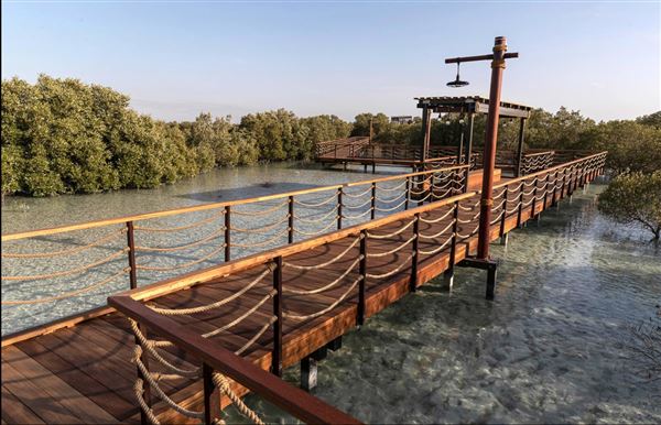 Jubail Mangrove Park (6/16/2021)