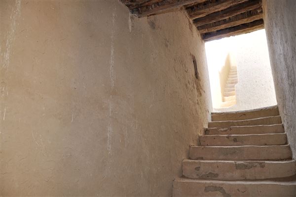 Mezyad Fort (1/27/2022)