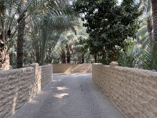 Al Qattara Oasis (9/22/2022)