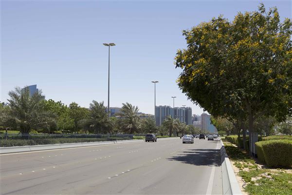 Corniche Street (2/13/2019)