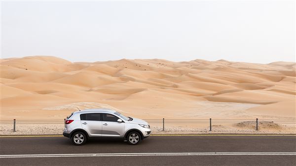 Tal Moreeb Road - Liwa (3/14/2016)
