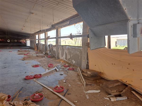 Abandoned Poultry Farm (4/1/2023 - Credits: Talal Al Dhabyani)