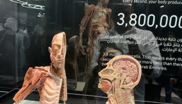 Body Museum - Khalifa University (4/20/2023)