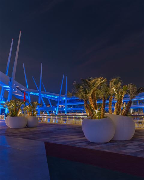 Al Qana (1/11/2023)