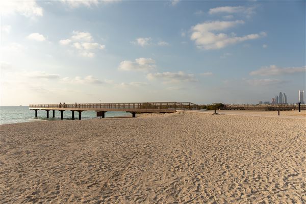Al Hudayriat Island (1/1/2022)
