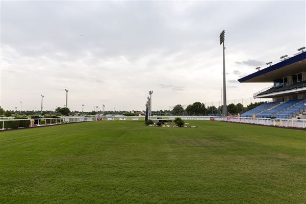 Abu Dhabi Equestrian Club (12/19/2019)