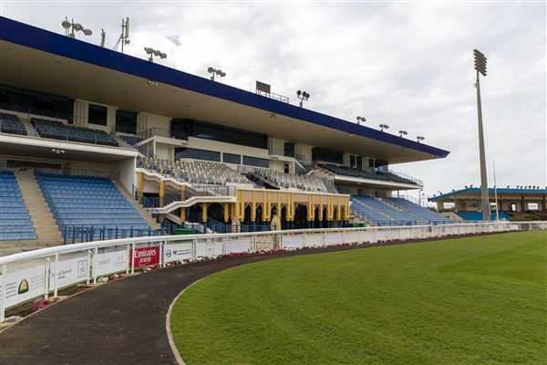 Abu Dhabi Equestrian Club (12/19/2019)