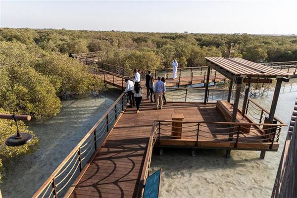Jubail Mangrove Park (6/16/2021)