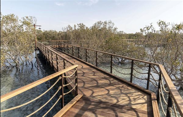 Jubail Mangrove Park (6/16/2021)