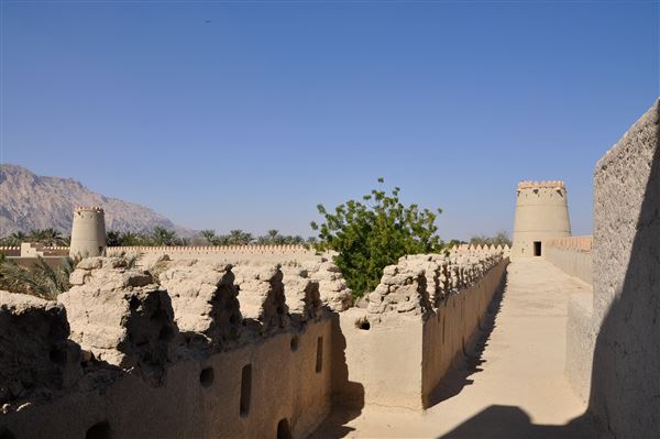 Mezyad Fort (1/27/2022)