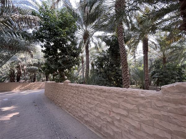 Al Qattara Oasis (9/22/2022)