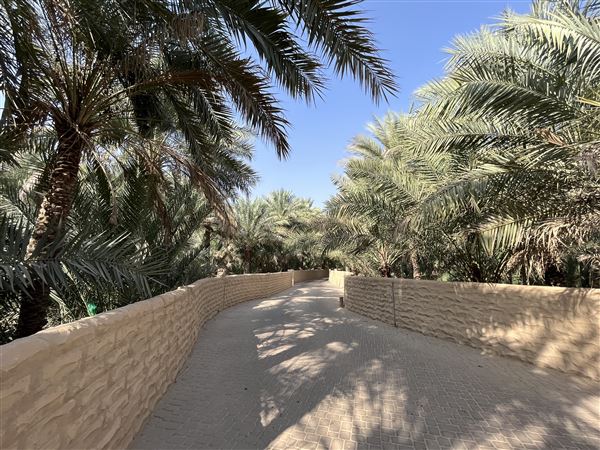 Al Qattara Oasis (9/22/2022)