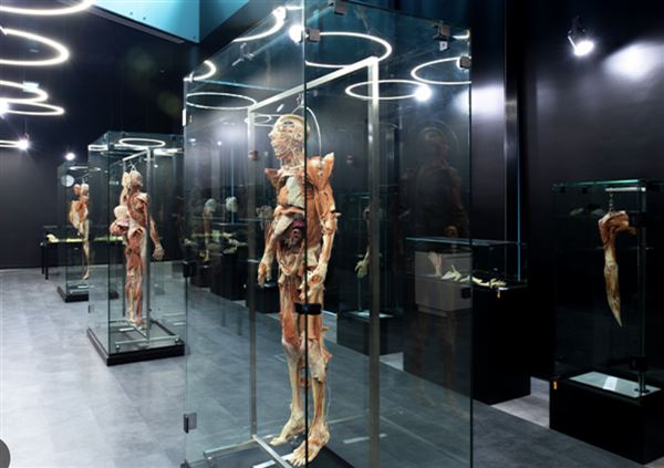 Body Museum - Khalifa University (4/20/2023)