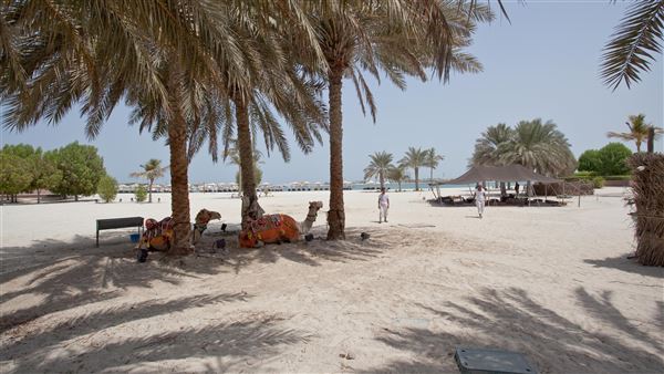 Emirates Palace (1/1/2022)