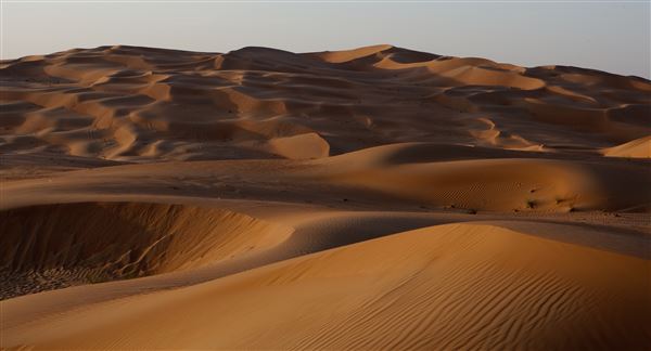 Liwa Desert (Empty Quarter) (1/1/2022)