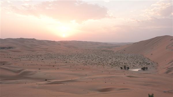 Qasr Al Sarab (1/1/2022)