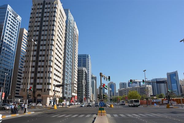 Sultan Bin Zayed the First Street (11/11/2016)