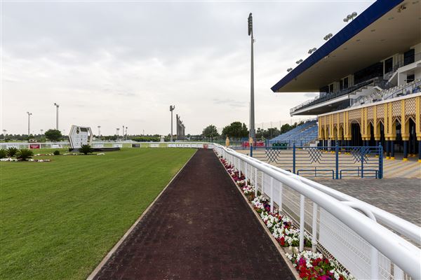 Abu Dhabi Equestrian Club (12/19/2019)