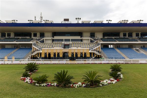 Abu Dhabi Equestrian Club (12/19/2019)