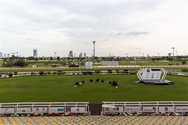 Abu Dhabi Equestrian Club (12/19/2019)
