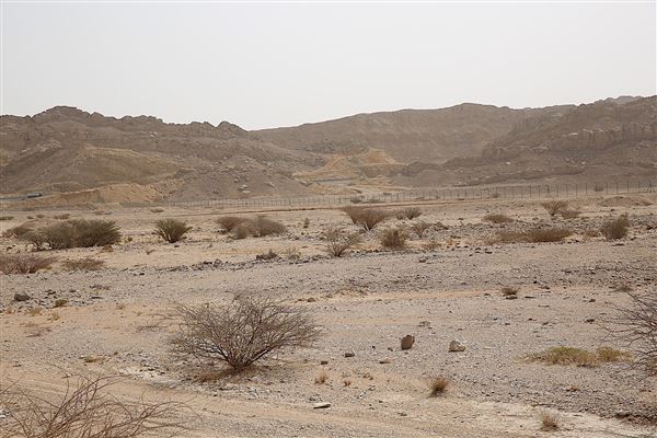 Jebel Hafeet - Wadi Tarbat (6/12/2018)