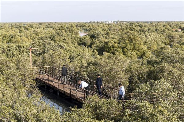 Jubail Mangrove Park (6/16/2021)