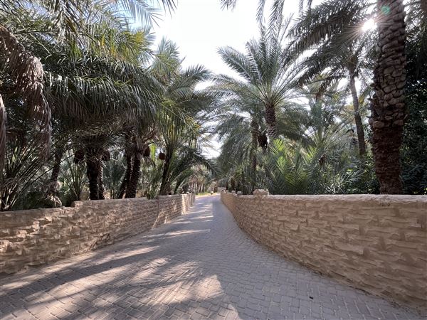 Al Qattara Oasis (9/22/2022)