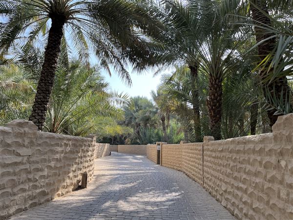 Al Qattara Oasis (9/22/2022)
