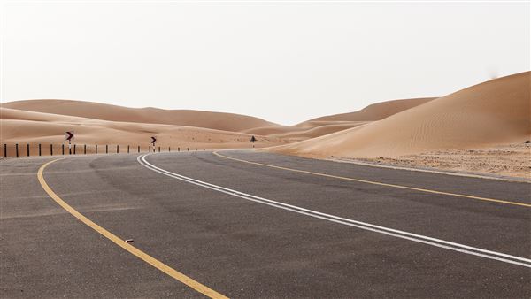 Tal Moreeb Road - Liwa (3/14/2016)