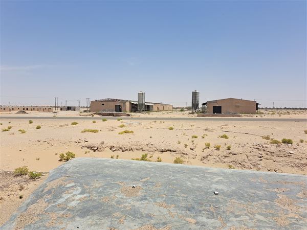 Abandoned Poultry Farm (4/1/2023 - Credits: Talal Al Dhabyani)