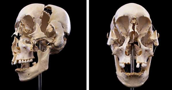 Body Museum - Khalifa University (4/20/2023)
