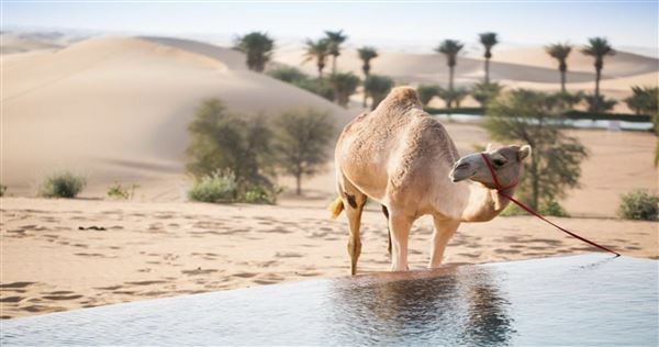 Telal Resort Al Ain (6/20/2023)